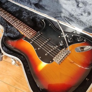 Fernandes Revival | eBay