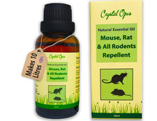 Makes 10+ Litres of Mouse, Rat & All Rodent Repellent Spray. Peppermint Oil & &