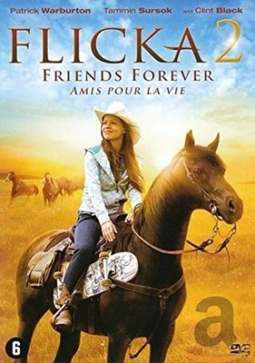 Flicka 2 (DVD) Patrick Warburton Tammin Sursok Clint Black Michael Damian