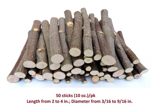 Apple Wood Chew Sticks Twigs Coin Chinchilla Hamster Rabbit Bunny Teeth Health - Picture 16 of 35