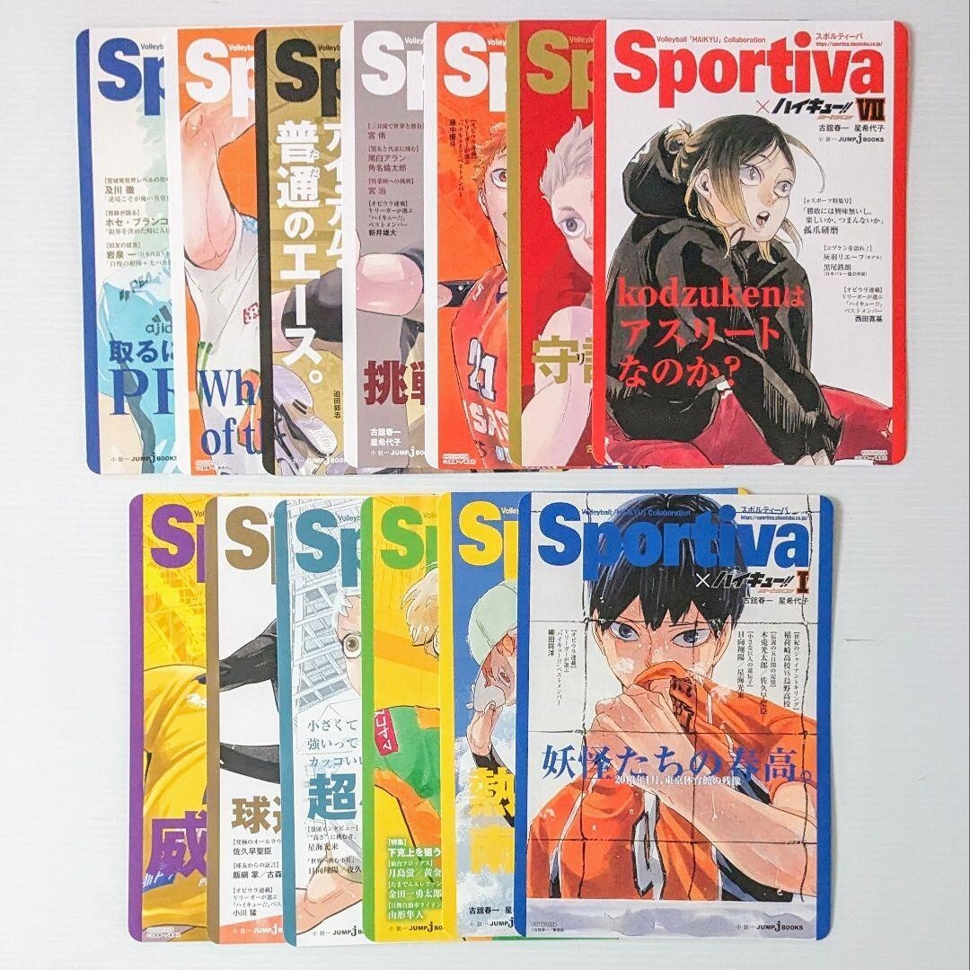 Haikyuu Novel sportiva Visual Board complete set 13 Animate