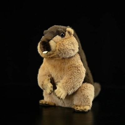 Marmot Squirrel 10 Inch Stuffed Animal Plush Toys Toddler Doll Kids Gifts