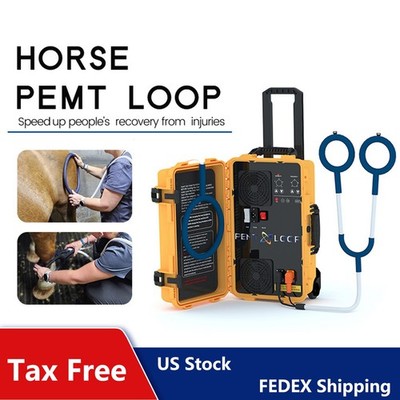 PEMF Therapy PMST LOOP Physio Magnetic Therapy with Large Loop & Butterfly Loop