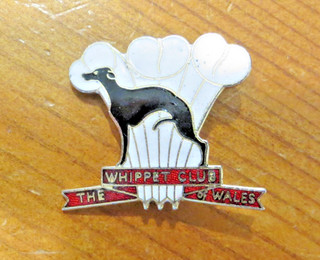 WHIPPET CLUB OF WALES CLUB ENAMEL BADGE VERY GOOD CONDITION
