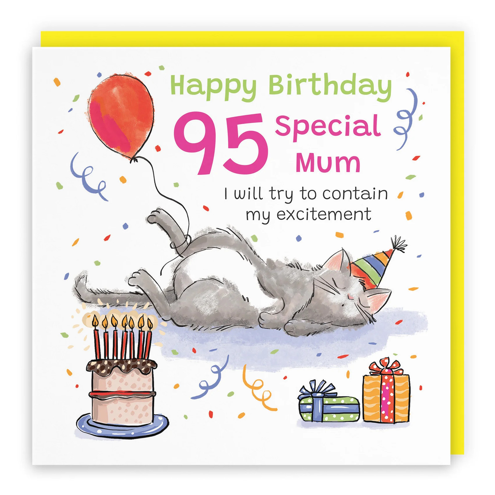 95th Mum Birthday Card Sleepy Cat Animal Party