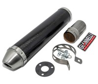 EndschalldäMpfer / ESD Giannelli Mit ABE FüR Aprilia RS / Tuono 125 - Carbon