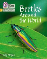 Sally Morgan | Beetles Around The World | Taschenbuch | Englisch (2021)