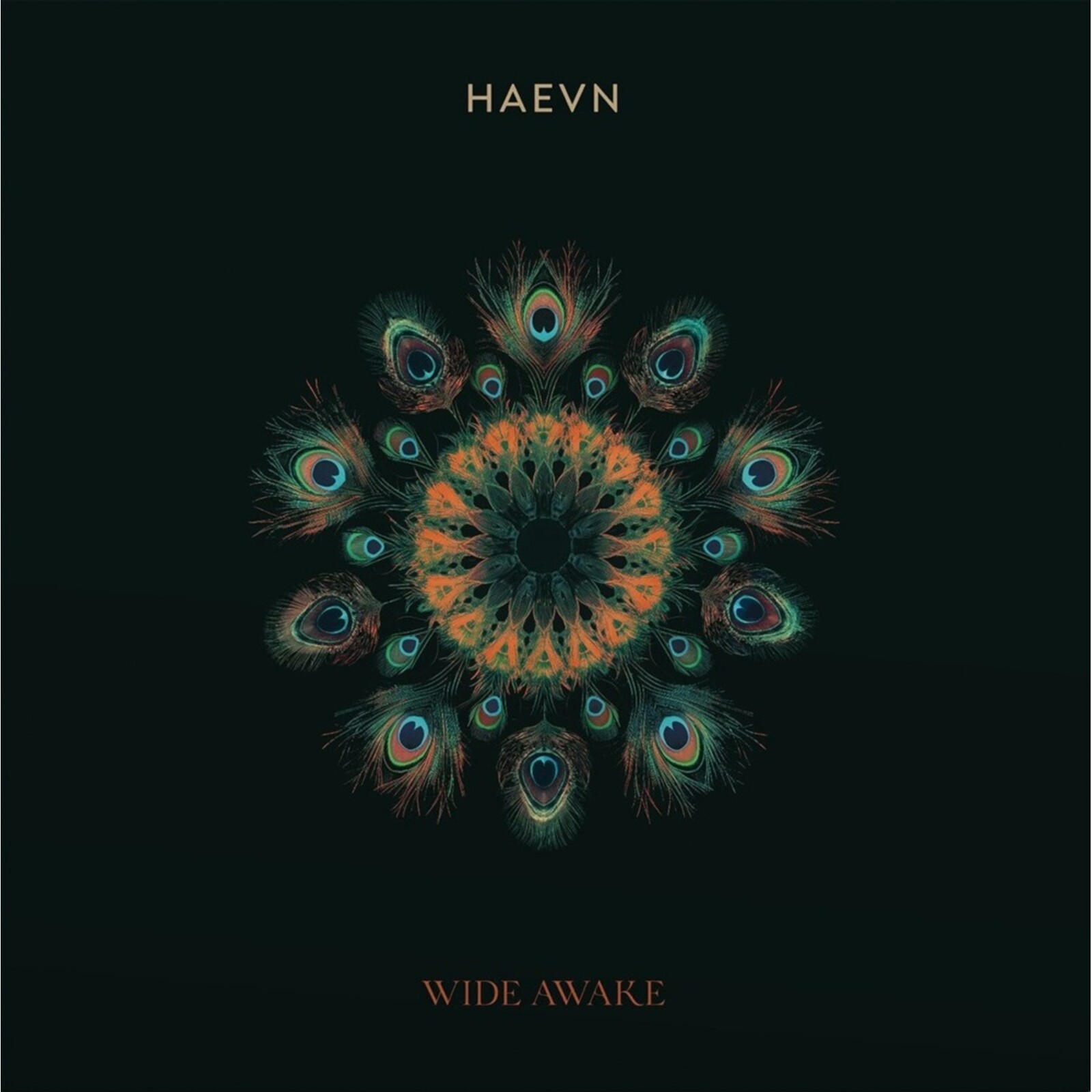 Haevn Wide Awake LP Vinyl NEW