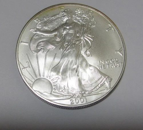 2001 $1 Dollar American Silver Eagle / Walking Liberty  Coin 1 Ounce Fine Silver