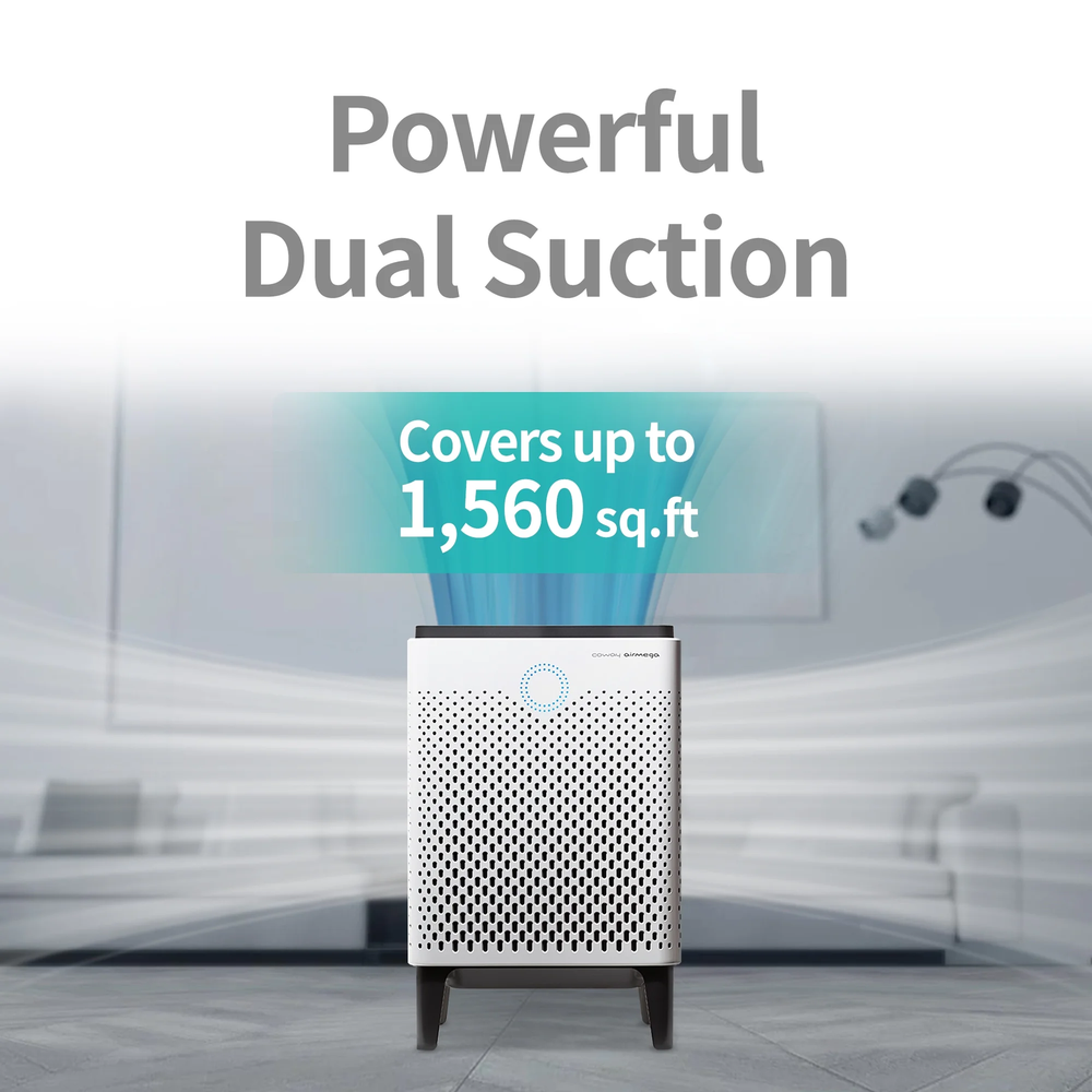 Airmega 400S Graphite HEPA Air Purifier for Large Rooms