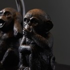 Foto 8 di 9
