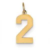 14k Yellow Gold Medium Polished Number 2 Charm Pendant. (0.7in Long) on sale 14k Yellow Gold Medium Polished Number 2 Charm Pendant. (0.7in Long) on sale