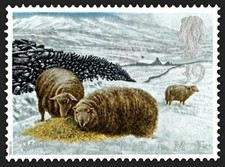 Welsh Mountain Sheep in Snowdonia on 1992 stamp