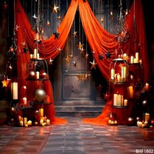 10'x10'CP Curtain Indoor Scenic Microfiber Fabric background backdrop BHF1802