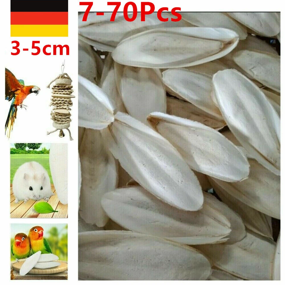 10-70 Stks Tintenfisch Knochen Sepia Tintenfisch Haustier Vogelfutter Kalzium DE - Bild 3 von 4