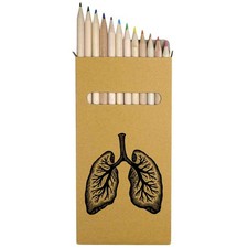 12 x 'Human Lungs' Long 178mm Coloured Pencils / Pencil Set PE00072239 