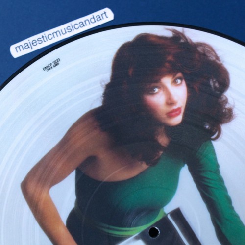 ORIGINAL 1978 PICTURE DISC VINYL KATE BUSH THE KICK INSIDE LP EX+ VERY RARE - Picture 4 of 11