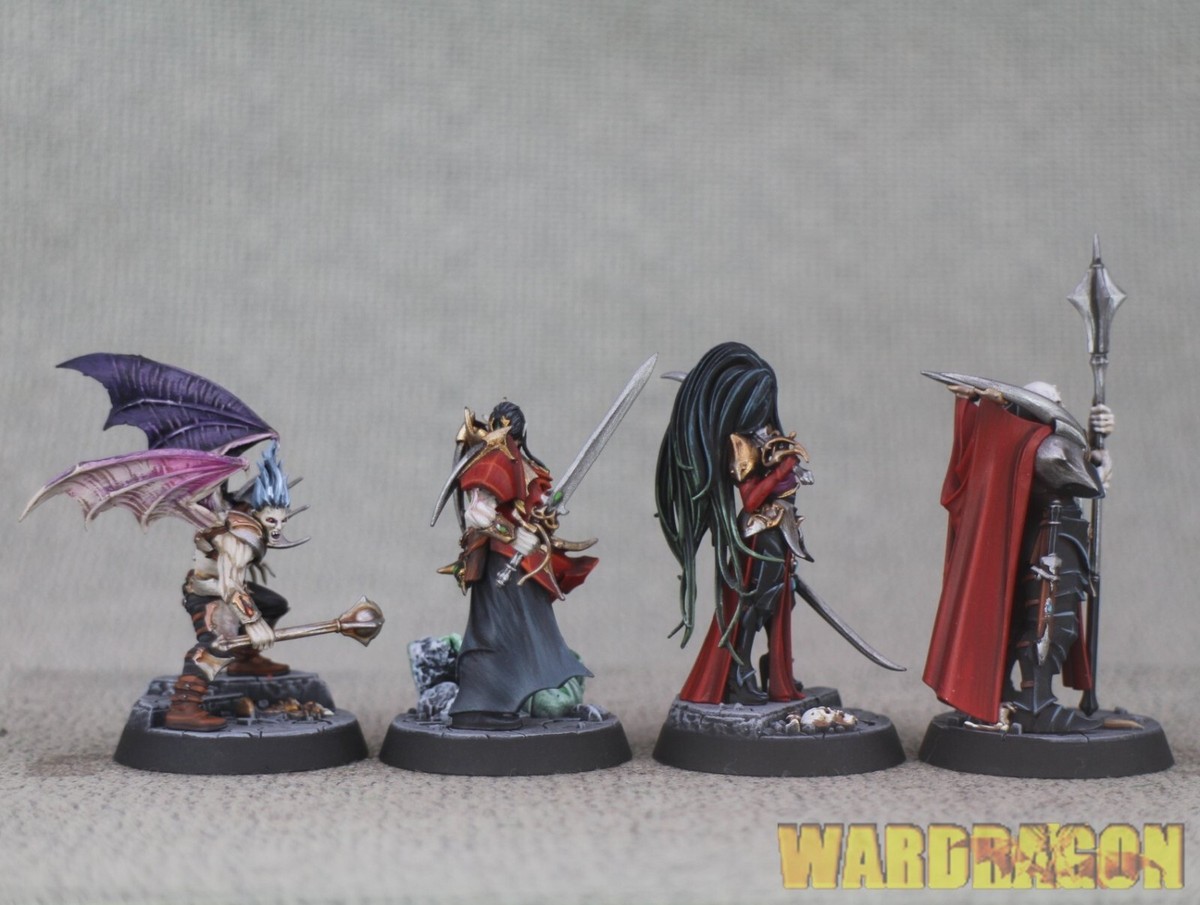 Warhammer AOS WDS painted WARCRY CRYPT OF BLOOD STARTER SET