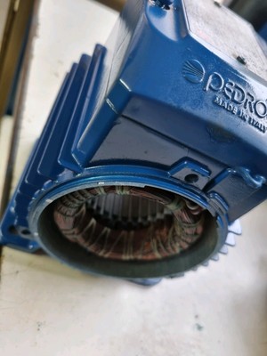 JSWm 10H 230V 50Hz Pedrollo Jet Elektropumpe Wicklung