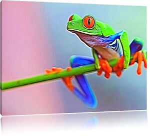 grüner Wasserfrosch mit orangenen Augen  Leinwandbild Wanddeko Kunstdruck