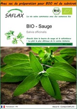 SAFLAX Jardin dans le sac - BIO - Sauge - 60 graines - Salvia