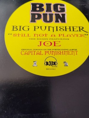 Big Punisher Ft Joe  Still Not A Player (Remix) VG+ 12 Inch Vinyl 