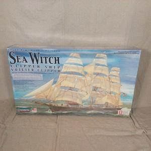 Sea Witch Ship | eBay