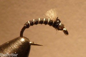 zebra midge emerger