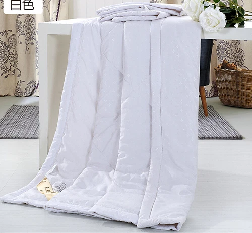 Hot 100% Silk Comforter Mulberry Silk Filled Comforter Silk Duvet Quilt Blanket - Picture 11 of 16