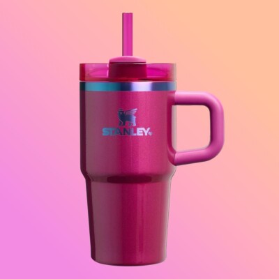 The Valentine s Day Quencher H2.O Tumbler | 20 OZ - Berry Truffle - IN HAND