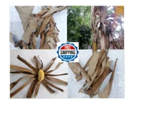 50 Dried Banana Leaves Pet Supplies Fish Care Aquarium Shrimp Cleaning Organic 