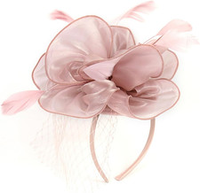 Fascinators Hats for Womens Tea Party Derby Hat Feather Mesh Veil Headwear Hair