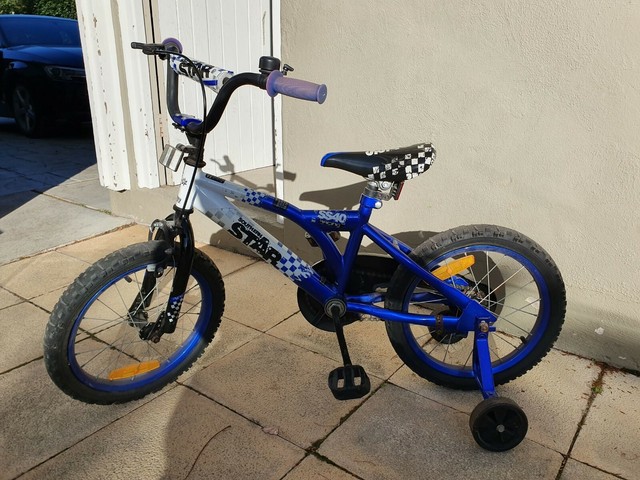 raleigh mxr 16