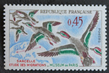 Timbre - FRANCE - Oiseau, SARCELLE - 1960 - Neuf ** - YT1275