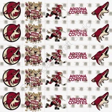 Arizona Coyotes Waterslide Finger Nail Decals Instructions set of 50 JH