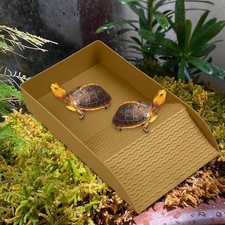 Reptile Bathtub Pet Accessories Nonslip Drinking Water Turtle Bath with Ramp