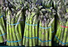 Asparagus, Mary Washington, 100 seeds 