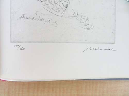 MASUO IKEDA WORKS : “Traveller's joy” limited to 260 copies 1974 - Picture 6 of 8