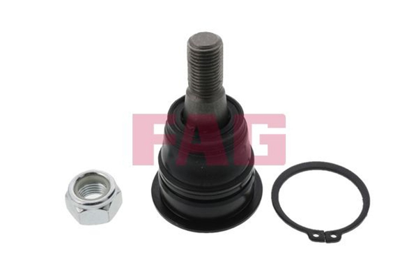 Schaeffler FAG Traggelenk FÜHrungsgelenk Nissan A33 Almera V10 Primera P12 WP12-image