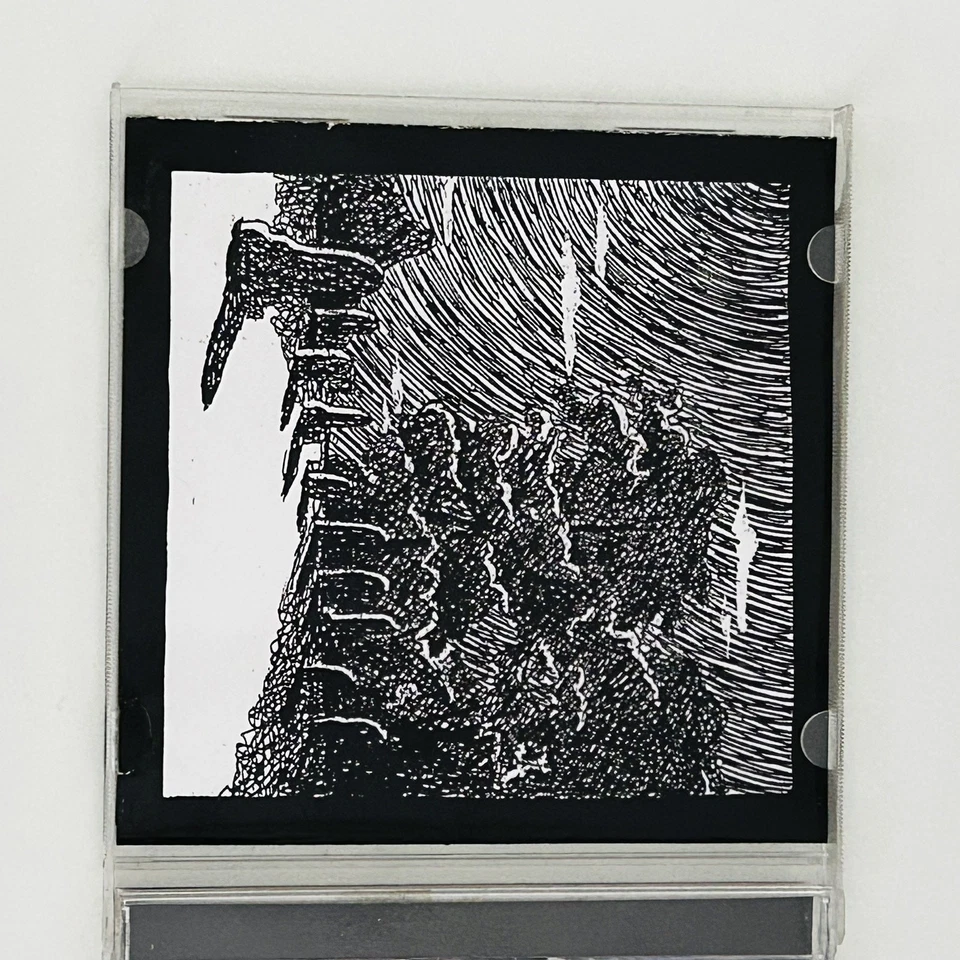 CUTTHROAT SHAMROCK The Wake CD Sealed 2007 Knoxville TN Celtic Punk Bluegrass Foto 3 de 4