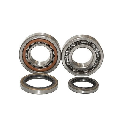 Bearing Worx Kurbelwellenlager Sherco SE-R 250 300 2T 2014-2016 NTN Japan