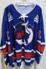 Birmingham Bulls Minor League Hockey Jersey Blue Adult XL SGA # 13