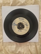 The Gants- Road Runner/ My Baby Don't Care- 1965- Liberty Label 55829
