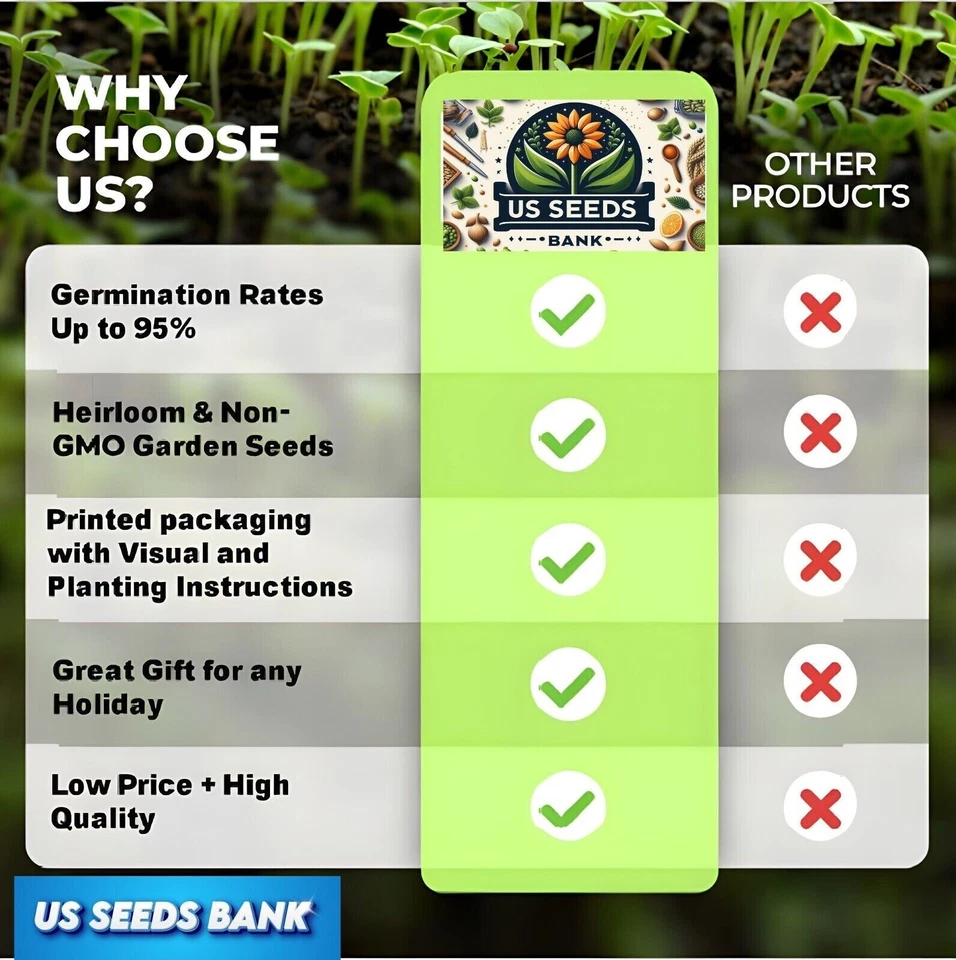 🌿100,000 Emerald Zoysia Grass Seeds – Premium Lawn Turf Drought & Heat Tolerant - Image 3 of 4