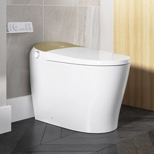 T03 Smart Bidet Toilet, LED display Auto Flush, Heated Seat, Warm Water  Dryer