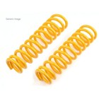 <!--F#f_0-->King Springs Coil Springs Standard Rear KTRS-62<!--F/-->