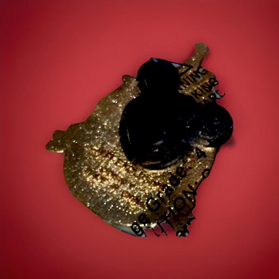 Disneyland 50Th Anniversary Cast Member Exclusive Lapel Pin – 1955 To 2005 - Image 4 of 4