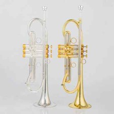 Professional Trumpet Bb Tune Brass Gold Plated Surface
