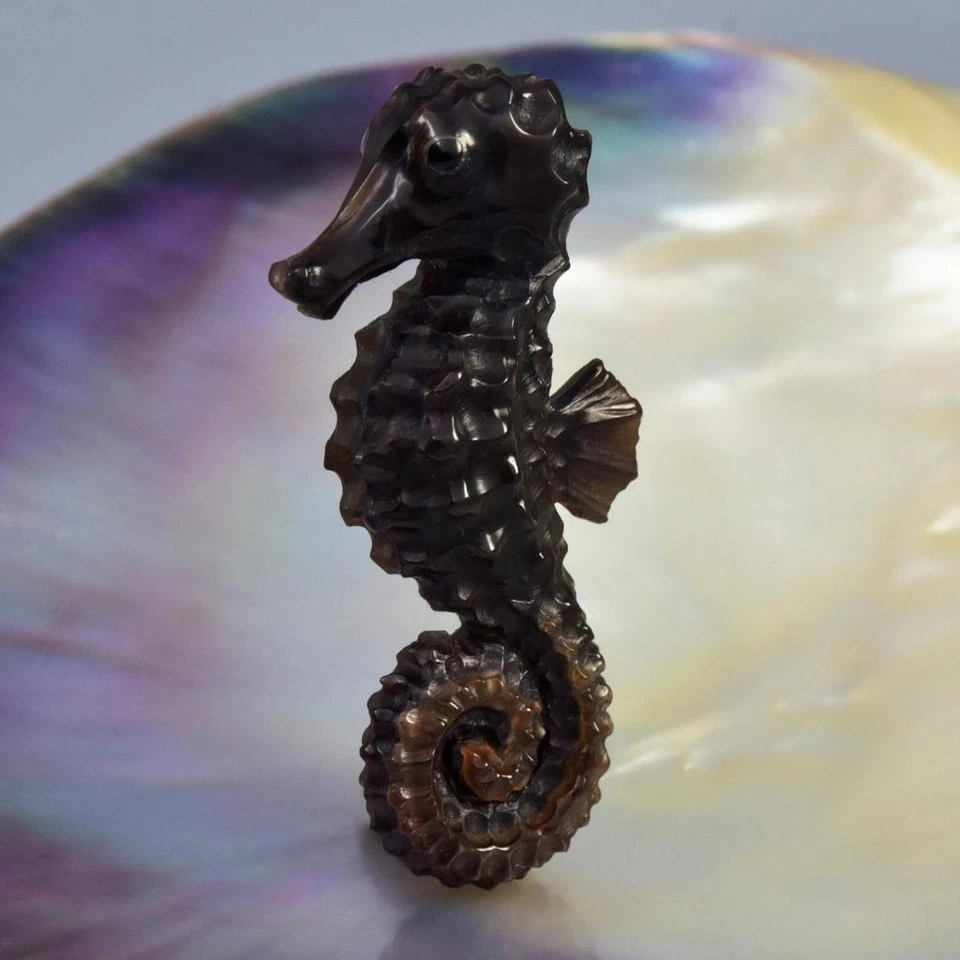 Seepferdchen Geschnitzter Schwarz Stift Pinna Muschel Figur Kollektion Design - Bild 4 von 4