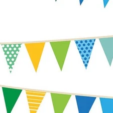 Savage Printed Background Paper (53" x 18', Party Banners)